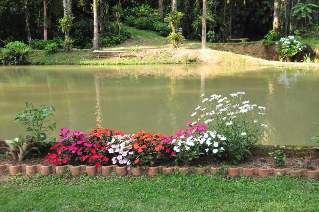 Chale Lavanda Com Hidro, Trilhas E Cachoeiras São Francisco Xavier Eksteriør billede